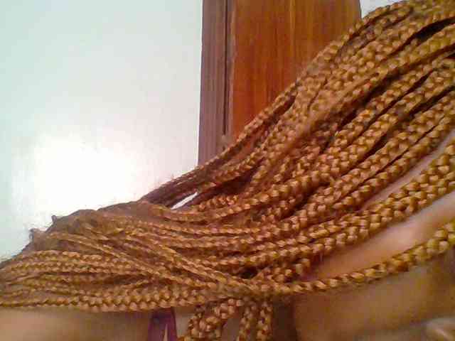 chocolate-brownie webcam