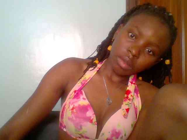 chocolate-brownie webcam