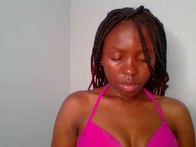 chocolate-brownie webcam