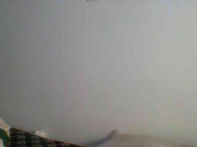 Nicely-spiced webcam