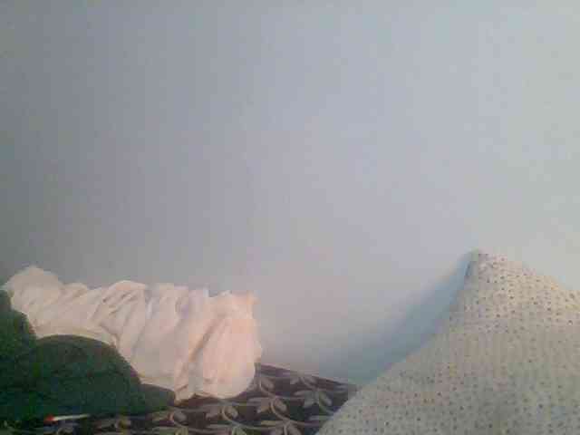 Nicely-spiced webcam