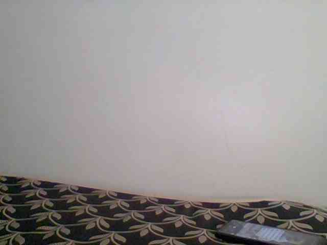 Nicely-spiced webcam