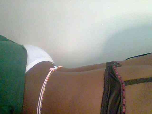 Nicely-spiced's webcam live show