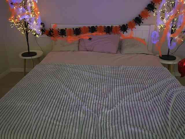 KellyBabbe webcam