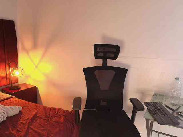 PamelaJohnsonn webcam