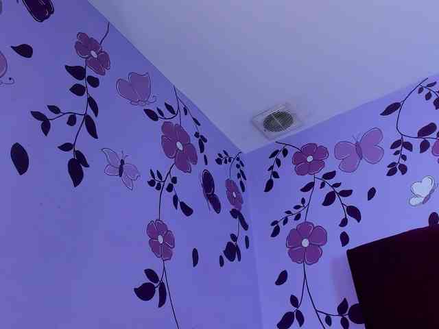 PamelaJohnsonn webcam