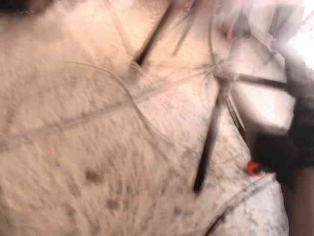 PamelaJohnsonn webcam