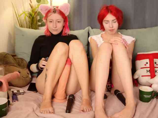 Bloom-and-Shen webcam