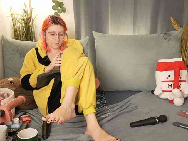 Bloom-and-Shen webcam