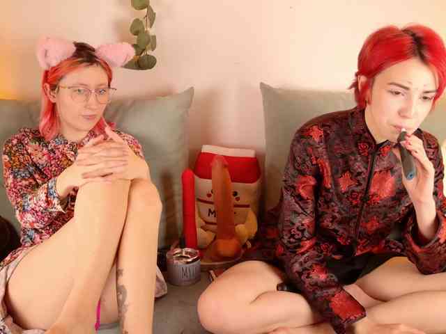 Bloom-and-Shen webcam