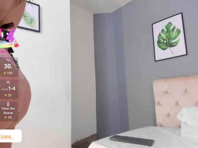 soe-lara webcam