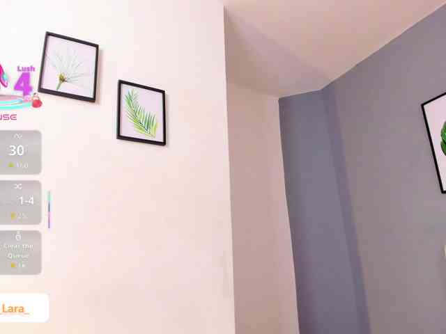 soe-lara webcam