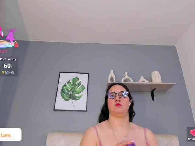 soe-lara webcam
