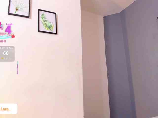 soe-lara webcam