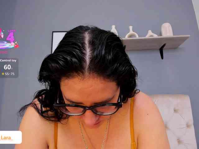 soe-lara webcam