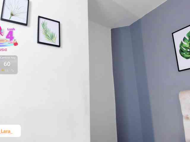 soe-lara webcam