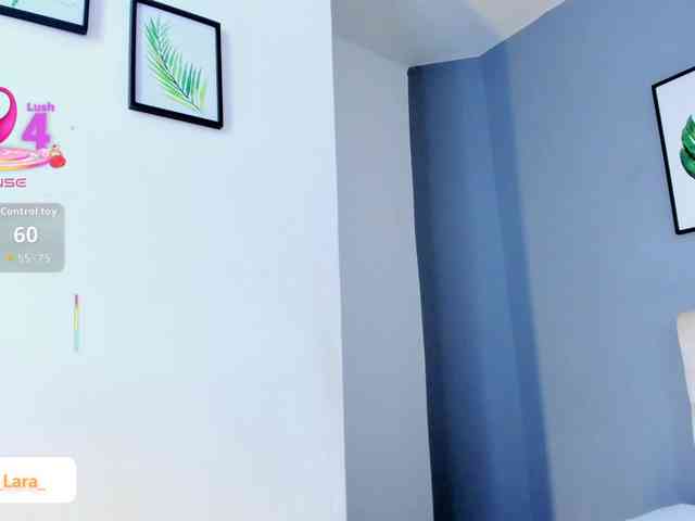 soe-lara webcam