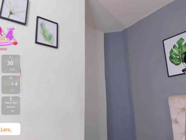 soe-lara webcam