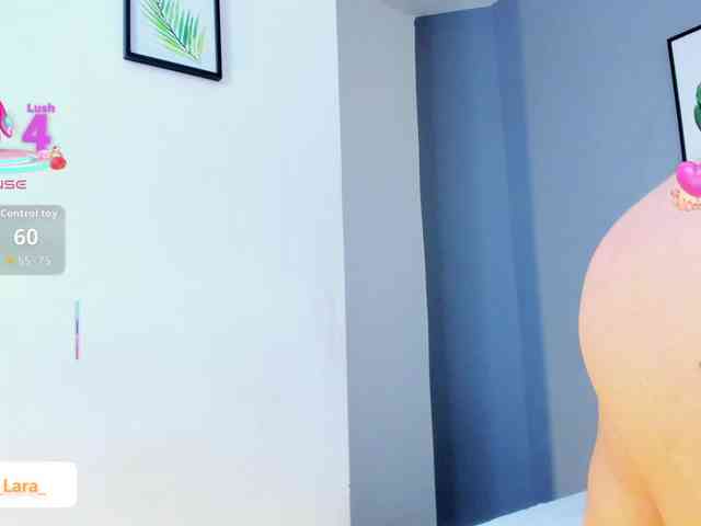 soe-lara webcam