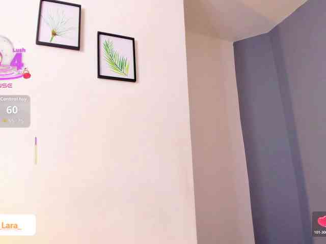 soe-lara webcam