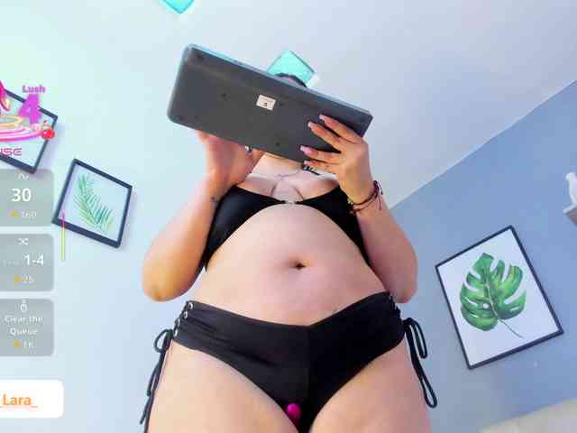 soe-lara webcam