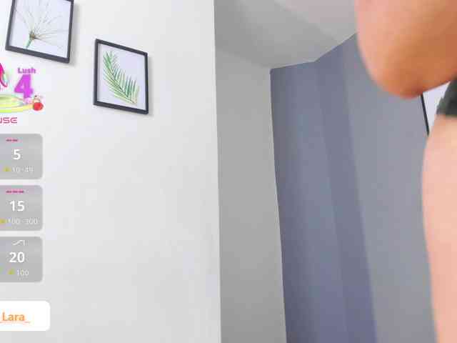 soe-lara webcam