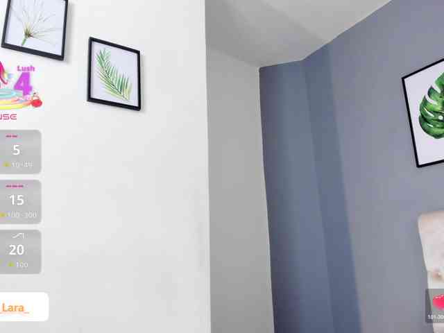 soe-lara webcam