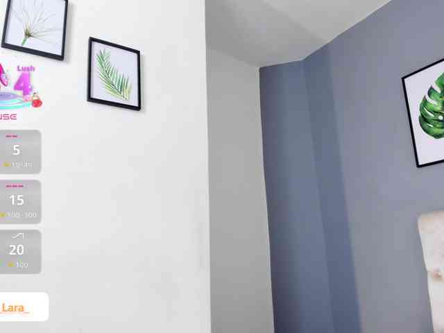 soe-lara webcam