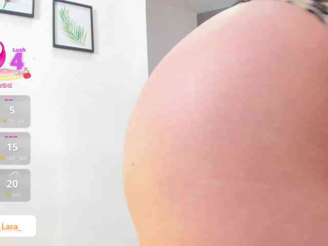 soe-lara webcam