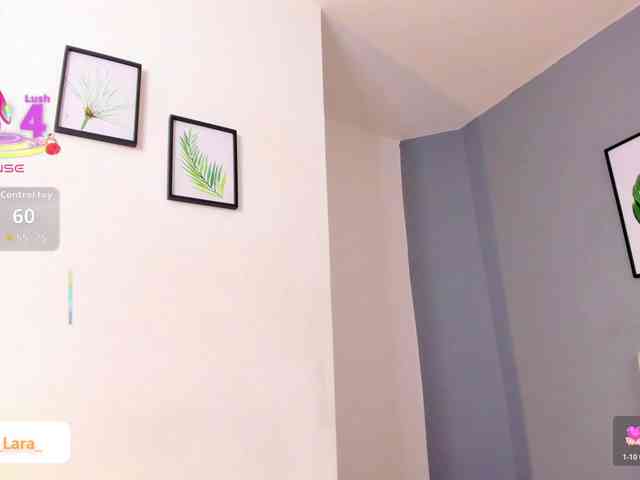 soe-lara webcam