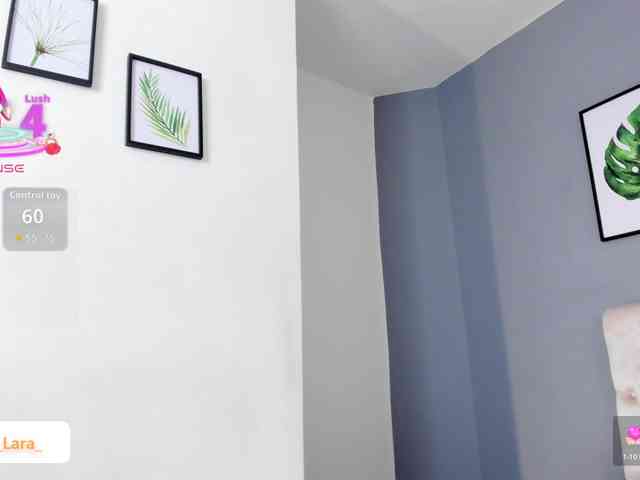 soe-lara webcam