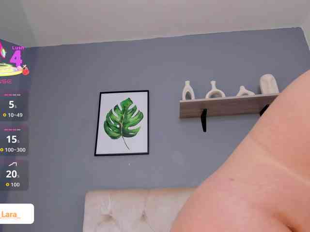 soe-lara webcam