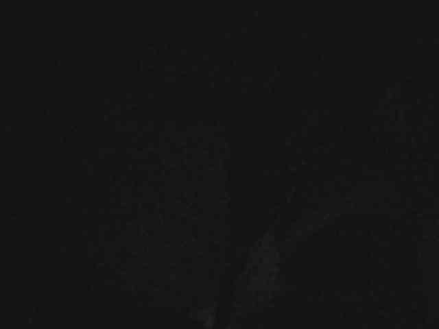 SchwanzusLongus25cm SchwanzusLongus25cm