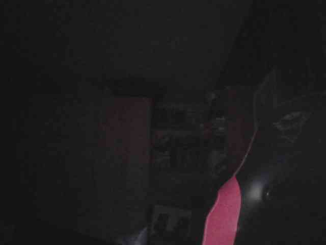 SchwanzusLongus25cm SchwanzusLongus25cm