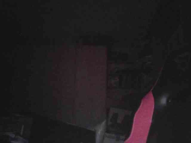 SchwanzusLongus25cm SchwanzusLongus25cm