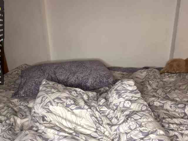 AlmetaGentili webcam