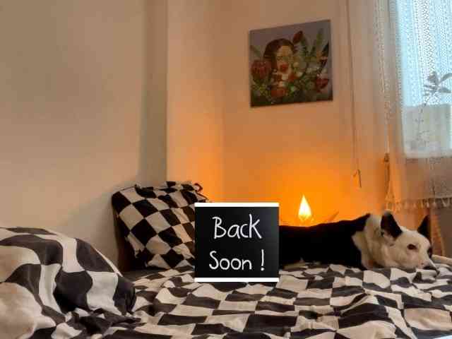 AlmetaGentili AlmetaGentili