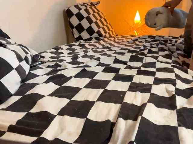 AlmetaGentili AlmetaGentili