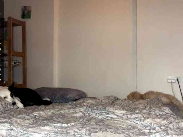 AlmetaGentili webcam