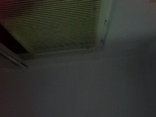 GirlPanter Porn Show