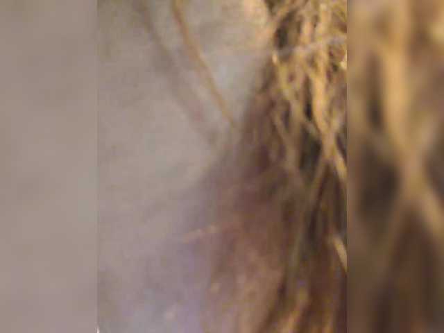anitaandpaloma