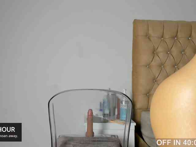 Salytexas webcam
