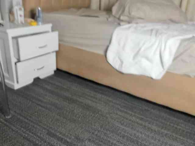 Salytexas webcam