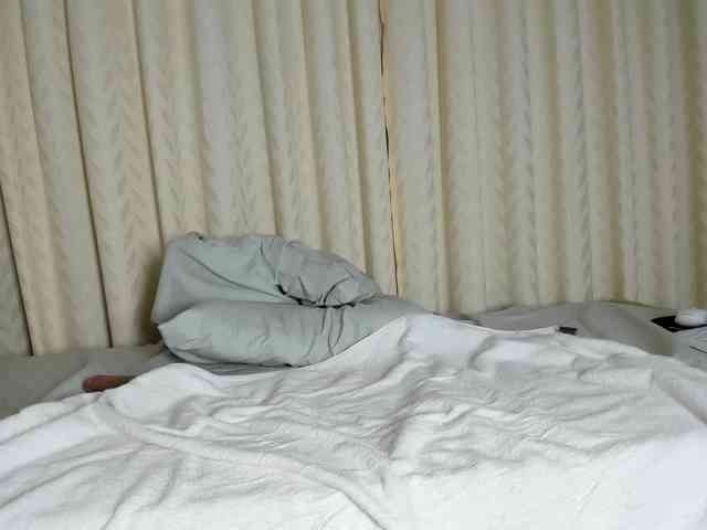 Salytexas webcam