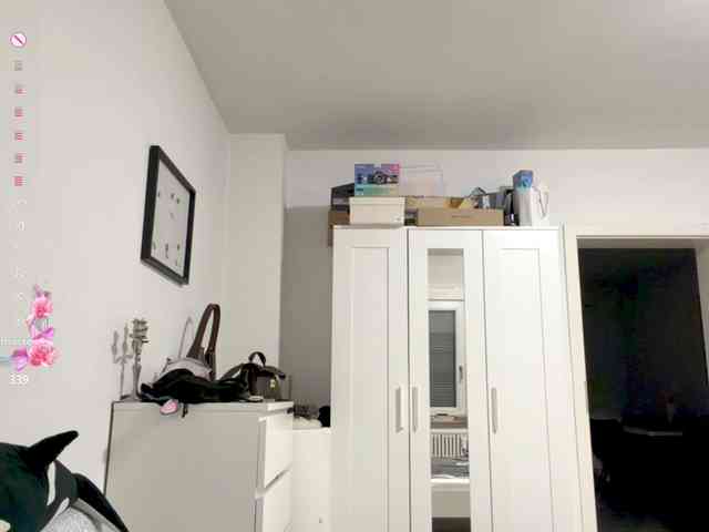 MerleRusson MerleRusson