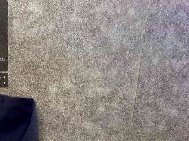 BettyannBencomo webcam