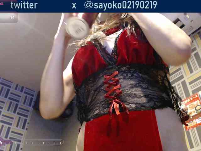 strip webcam SAYO-Japanese
