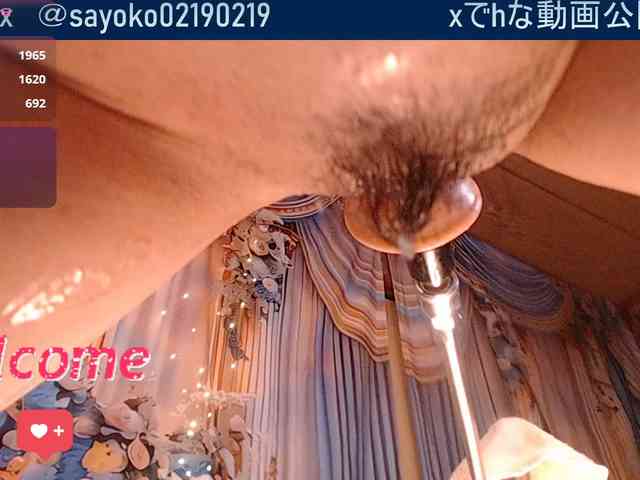 SAYO-Japanese webcam