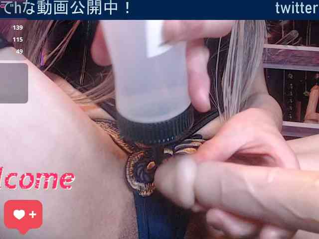 SAYO-Japanese SAYO-Japanese