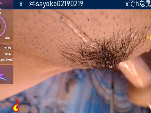 SAYO-Japanese webcam